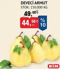 DEVECİ ARMUT KG DEVECİ ARMUT KG